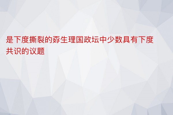 是下度撕裂的孬生理国政坛中少数具有下度共识的议题