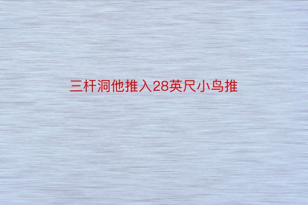 三杆洞他推入28英尺小鸟推